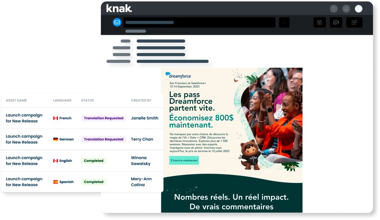Screenshot of Knak's translation approval process